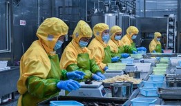 预制菜工厂员工爆料视频,员工爆料视频曝光生产内幕